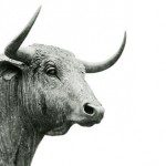 Bull