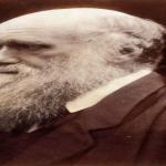 2 Charles_Darwin_by_Julia_Margaret_Cameron_3