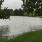 flood bank