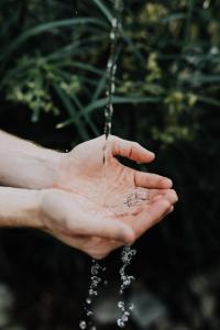 Cupped hands with water running over them