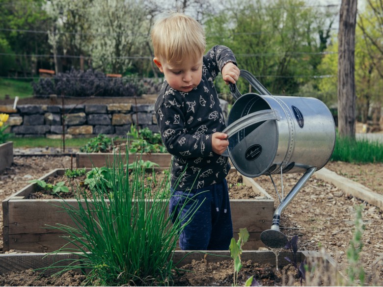 A child watering a community garden.