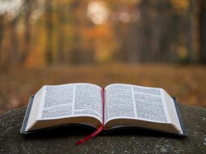 mindful bible reading