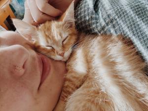 Cat sleeping next to woman's face