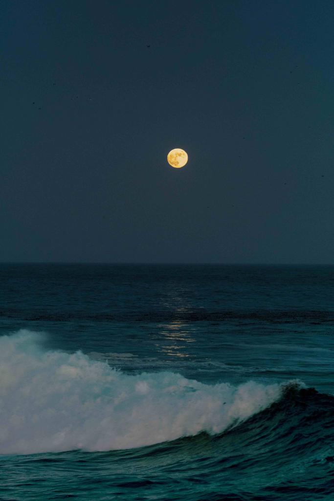 moon shining over the ocean at night