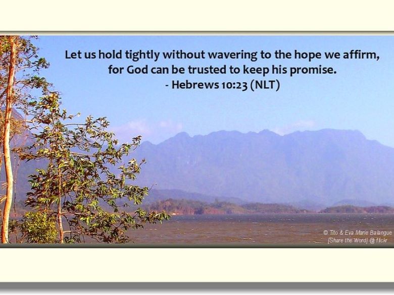 Hebrews 10:23 (NLT) on a blue sky with mountains in the background and a tree in the foreground on the left