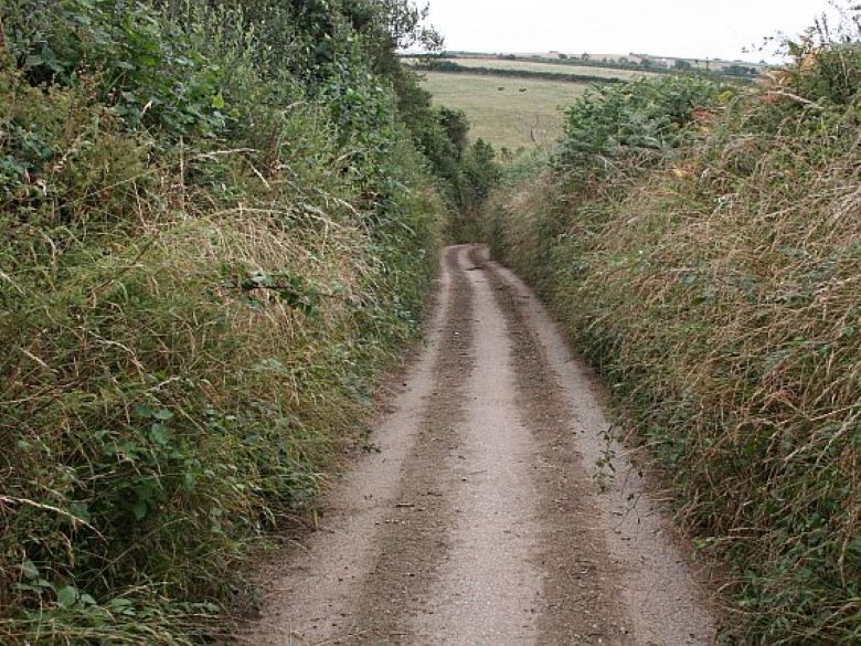 A Very Narrow Road. This road is signposted as being unsuitable for motors but it is clearly used and kept open by tractors. The pattern of dirt accumulation on the road is unusual. Normally roads like this get one line of dirt or grass down the centre, this has two with clear tarmac in the centre. I don't know why this is.