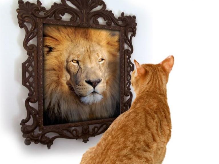 How Do You See Yourself? | M. Scott Coffman