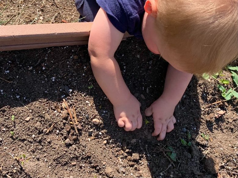 Boy Plays in Dirt