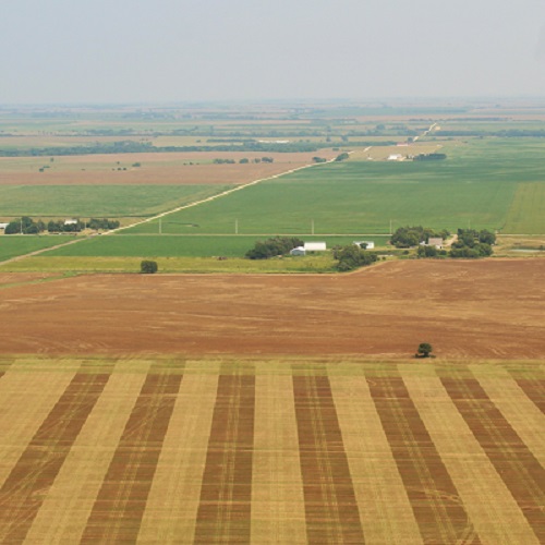 Farmland Showing World with Less Population