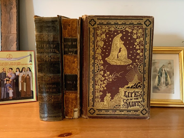 Lives of the Saints Books - Family of Saints