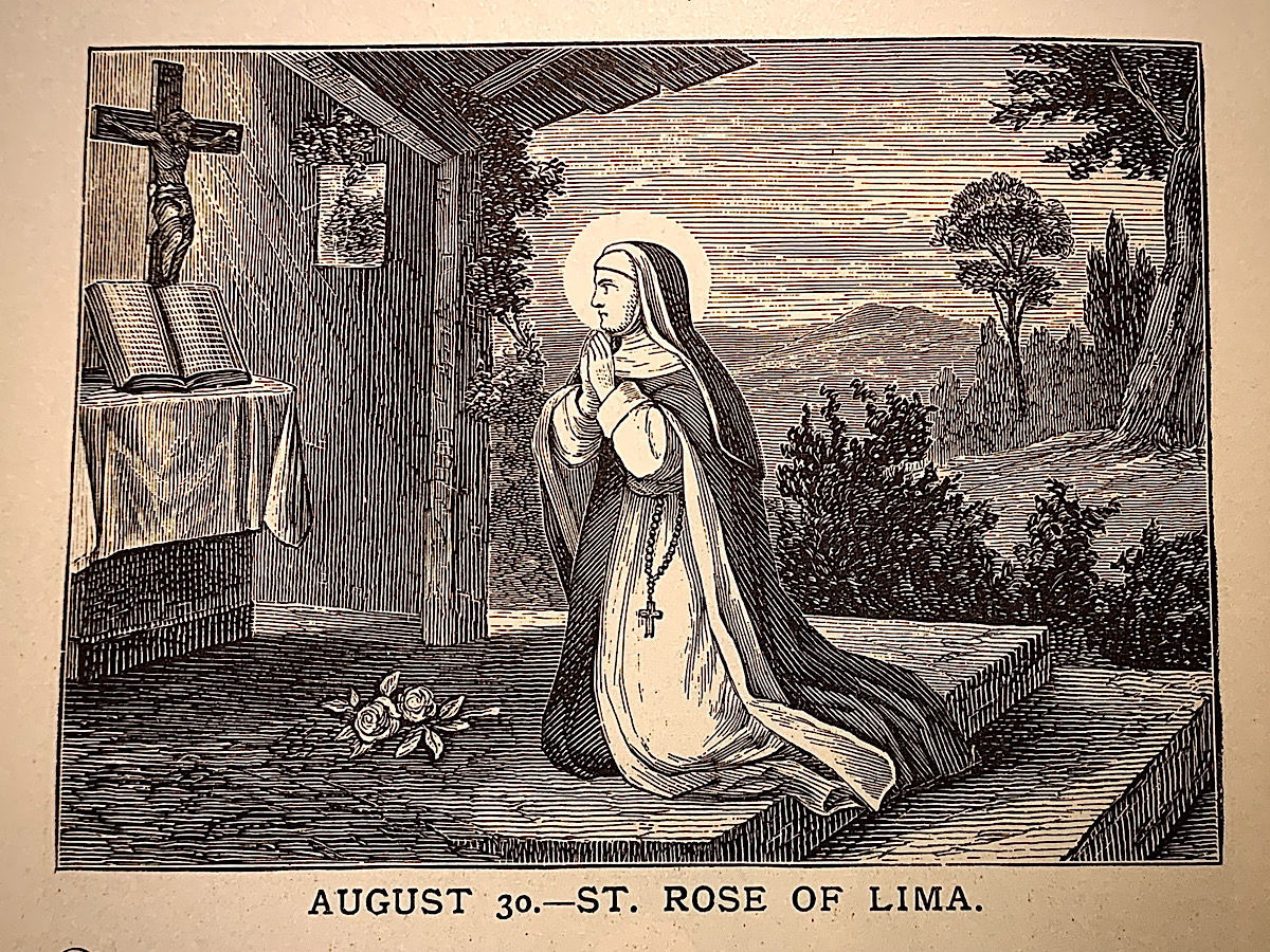 St. Rose of Lima - image of sacrifice and service