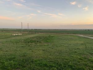 and Grass Will Grow