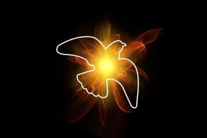 A white outline of a dove with a glowing orange center on a black background, as a symbol of the holy spirit.