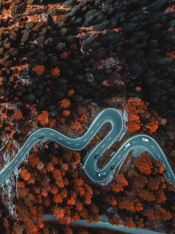 the view from above spies a serpentine road through a colorful, fall forest