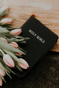 A Bible and pink flowers