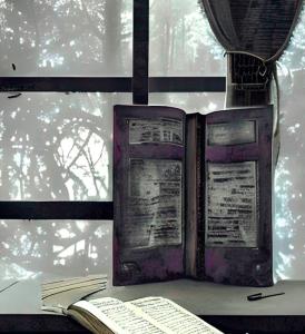 Book on a windowsill