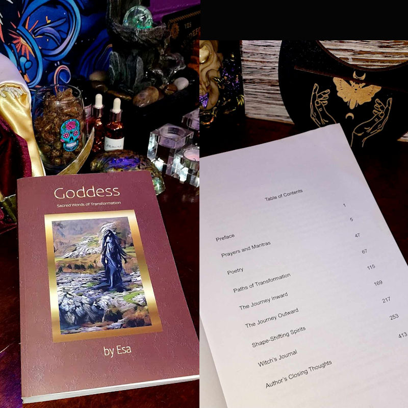 Goddess book cover and table of contents