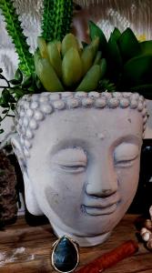 buddha planter with succulents and a laborite ring