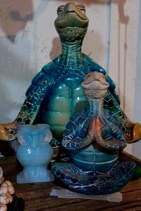 large and small sea turtles next to each other sitting in a lotus position