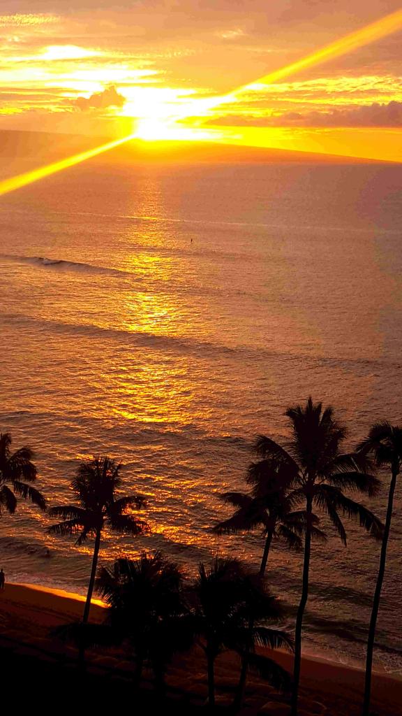 Prayer eases fear to enjoy beach on Maui with palm trees by Linda L. Kruschke