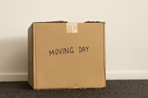 A cardboard box marked "moving day."