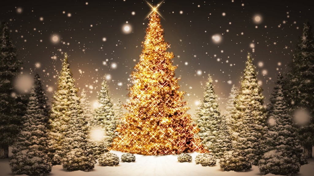 One big Christmas tree, with other Christmas trees