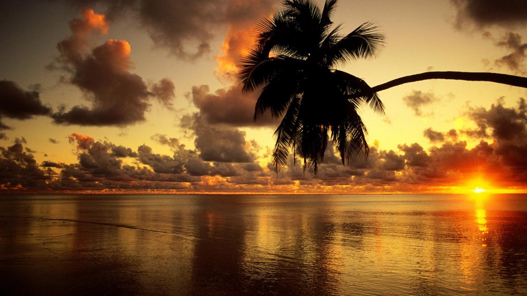 A beautiful tropical sunrise (Wikimedia Commons public domain)