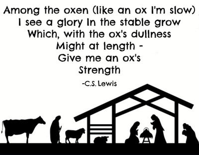 Lewis and the ox in Bethlehem