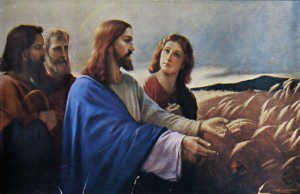 Unterberger, Josef. "Christ in the field of grain."