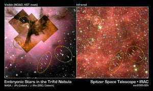 WikiTrifid Nebula or whatever