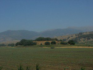 Huleh Basin, Tel Anafa