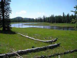 Tippets Valley