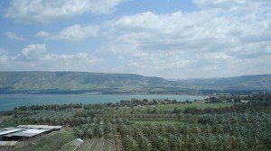 Galilee with palms