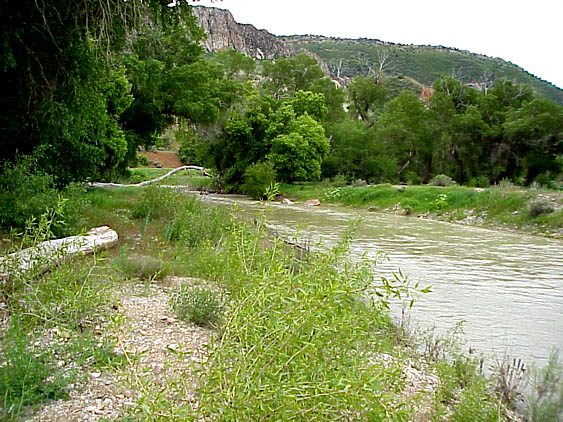 A warm day on the Spanish Fork River