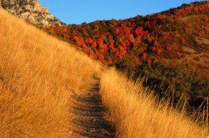 Provo mountain trail in the fall