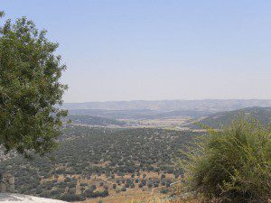 In the Valley of Elah