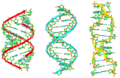 DNA double heilix