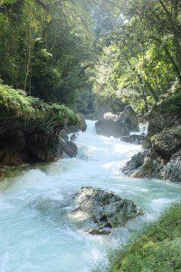Guatemalan jungle river
