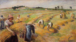 At harvest time