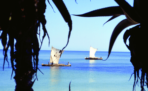A beach with two odd sailboats