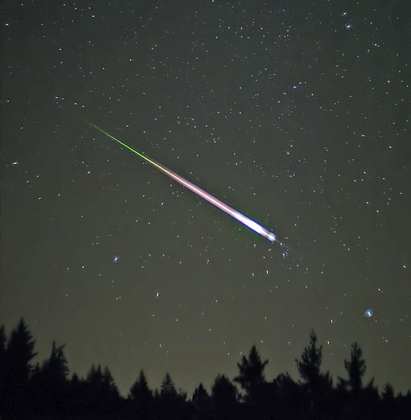 A Leonid meteor in 2009