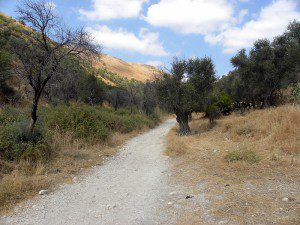 Near Safed
