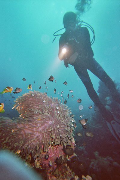 A scuba diver with a light