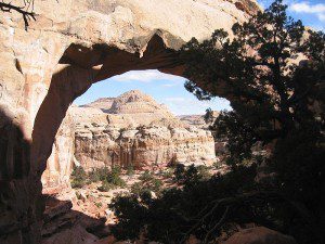 Capitol Reef NP