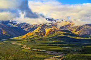 In Denali, very nice