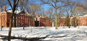 Snow in Harvard Yard