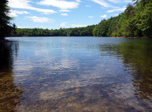 Henry Thoreau's pond