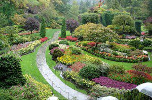 Butchart Gardens scene