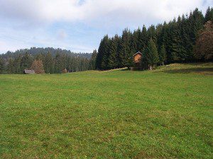 Vorarlberg meadow