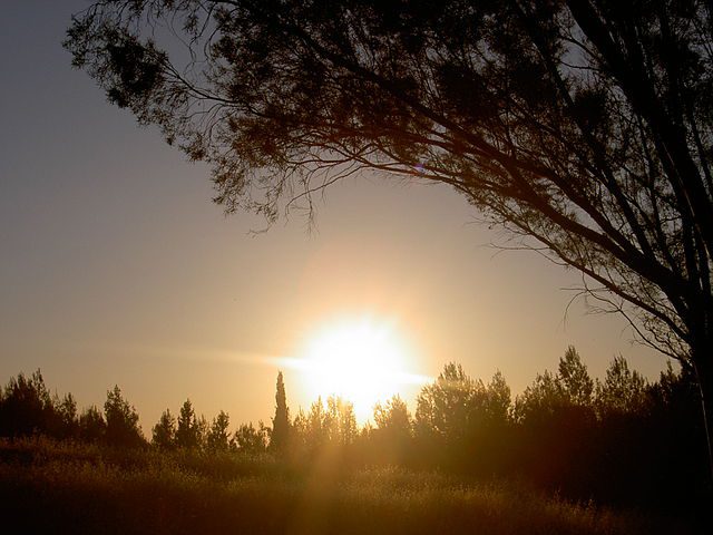 Israeli dawn